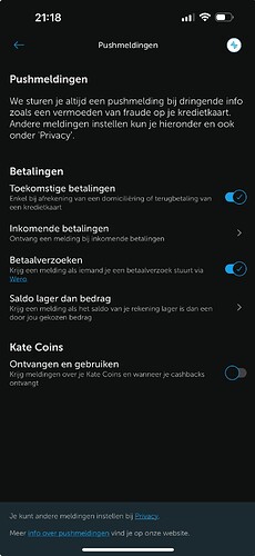 Screenshot 2025-04-29 at 21.18.57